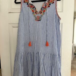 Striped Blue and White Dress with Embroidered Details